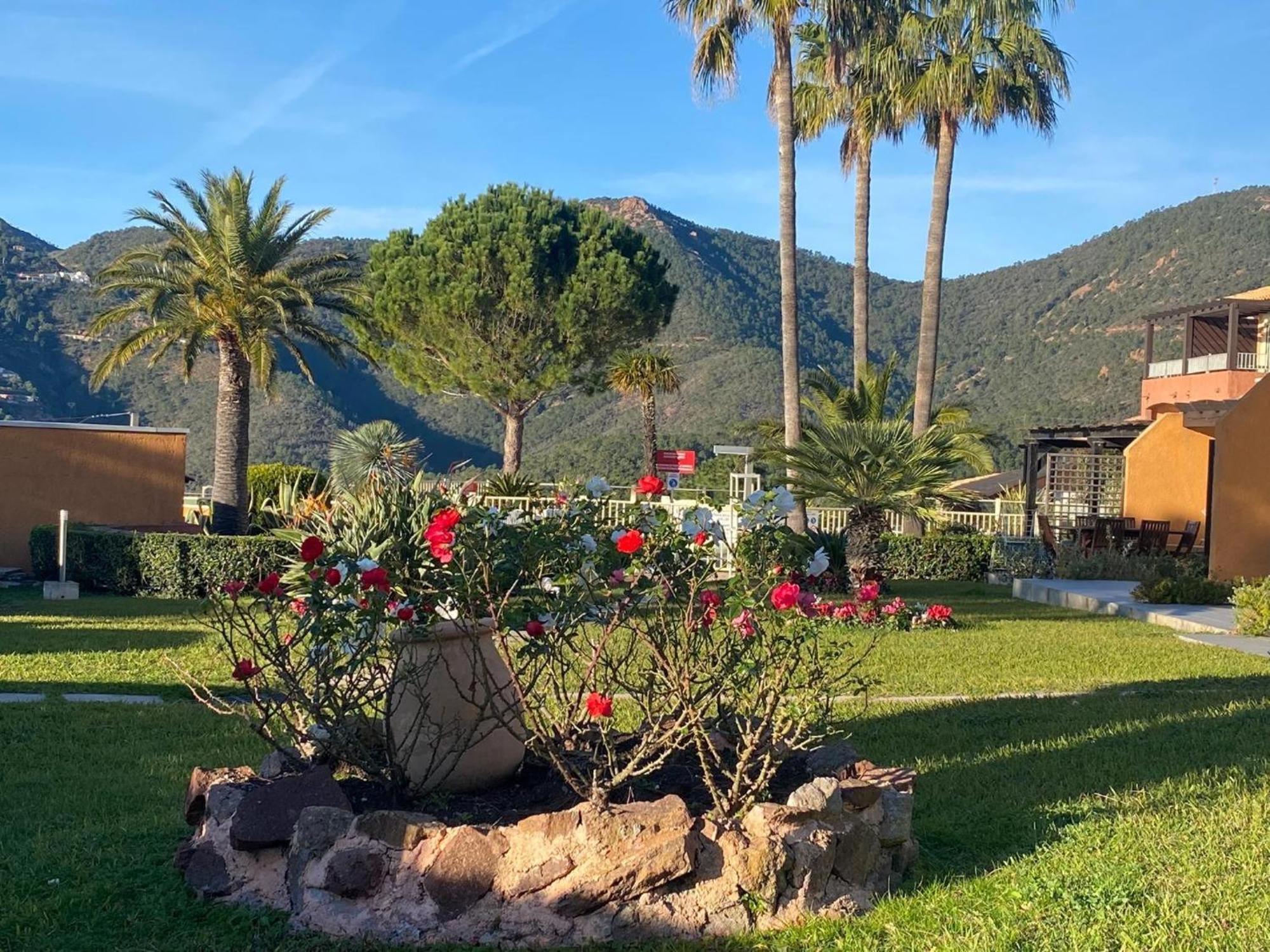 Vue Mer Et Jardin Theoule-sur-Mer Bagian luar foto